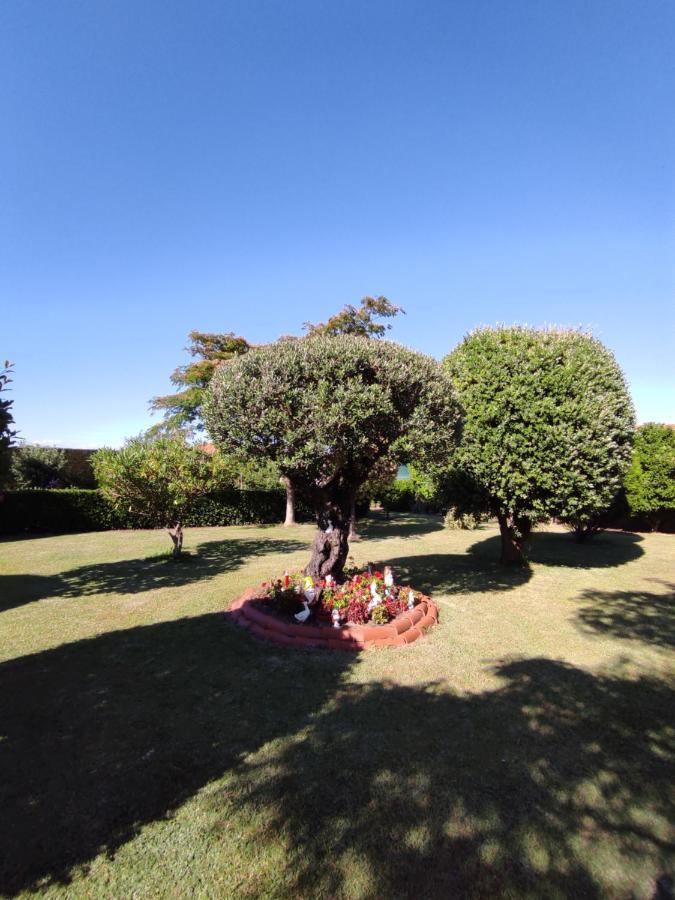 Pension Casa Carmela Playa de la Lanzada Εξωτερικό φωτογραφία